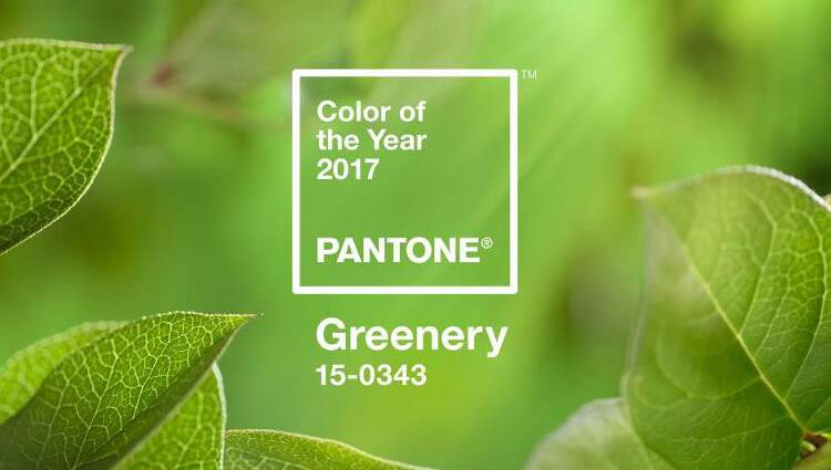 cor do ano de 2017 Greenery